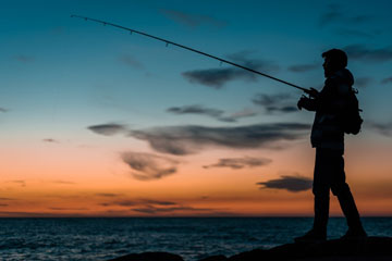 velvetfishing.bg cover